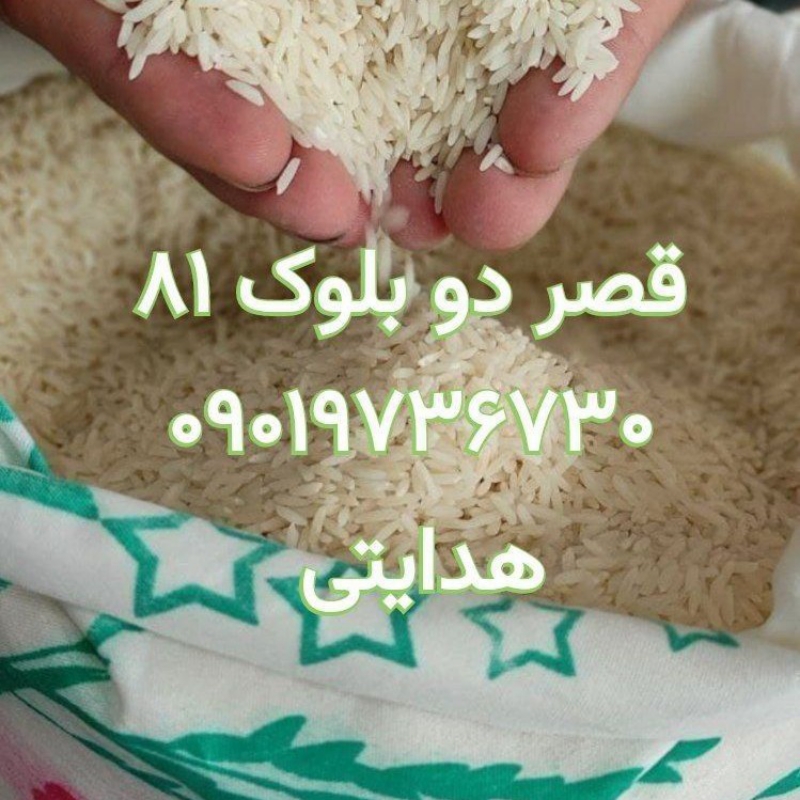 باربرنج طارم هاشمی